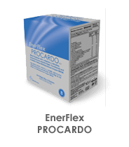 EnerFlex PROCARDO 4.0